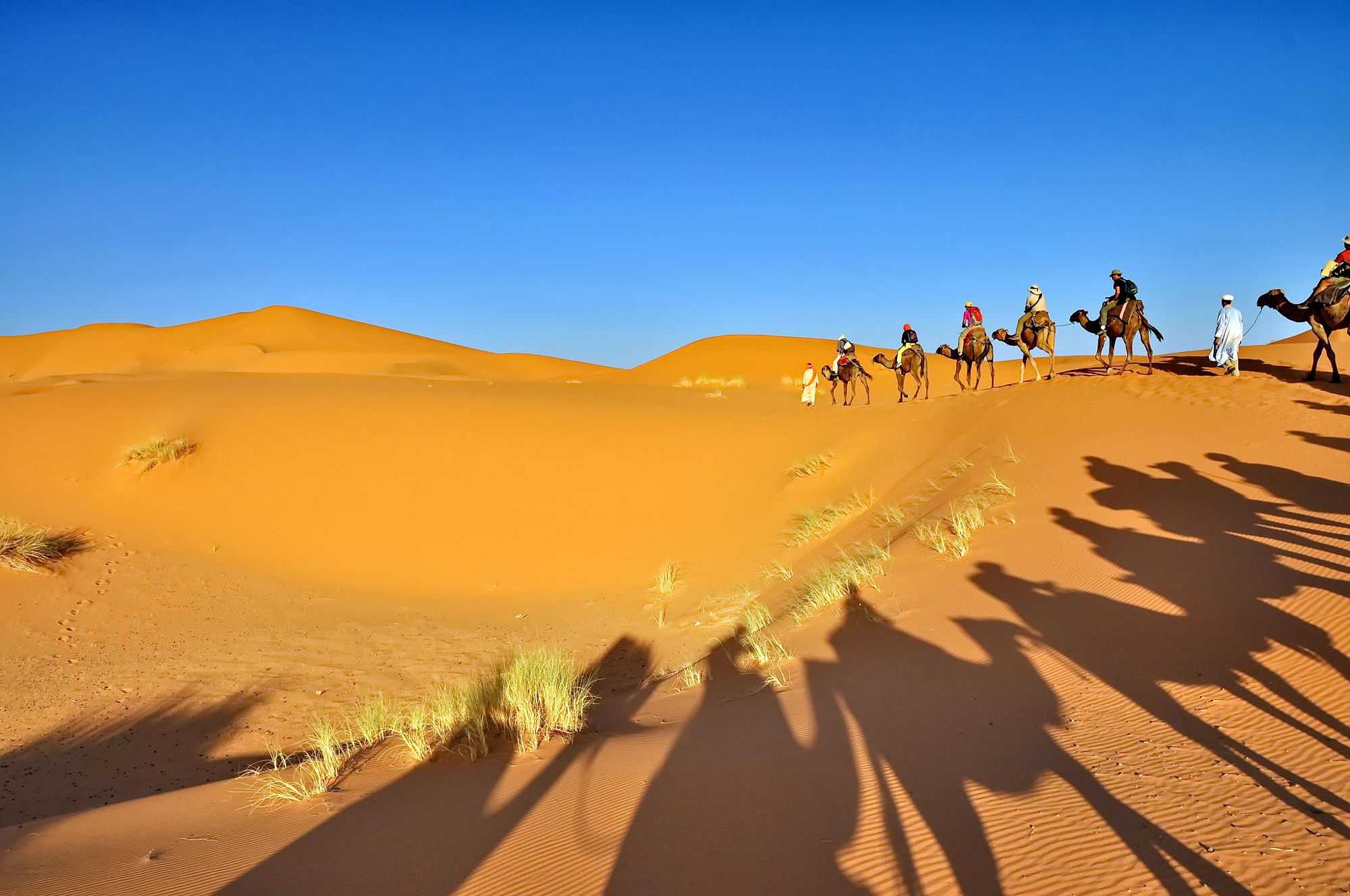 Morocco Global Adventures